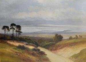 ALLWRIGHT Arthur F 1900,The Surrey Hills from Near Godalming,1910,John Nicholson GB 2019-12-18