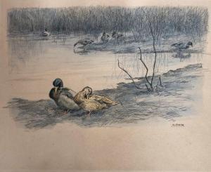 ALO Charles 1882-1969,Canards col vert au bord d\’un étang,Digard FR 2022-10-27