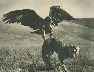 ALPERT Max Vladimirovitch 1899-1980,Hunting with Golden Eagle,MacDougall's GB 2016-06-08
