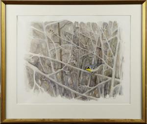 ALSTROM Per,Yellow-throatedWarbler,1990,Stadsauktion Frihamnen SE 2011-04-05