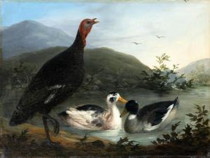 AMANZIA GUERILLOT Inganni 1828-1905,Uccelli di palude,Il Ponte Casa D'aste Srl IT 2021-12-14