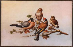 AMERICAN SCHOOL,A Group of Song Birds on a Branch,19th century,Jackson's US 2017-06-27
