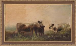 AMERICAN SCHOOL,Cows in a pasture,Eldred's US 2016-01-23