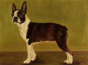 AMERICAN SCHOOL,Portrait of a Boston Terrier,Bonhams GB 2018-06-13