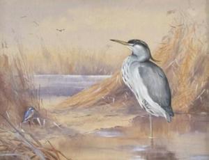 AMOORE E J,A Heron and Kingfisher,Woolley & Wallis GB 2011-06-15