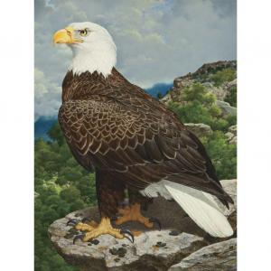 AMUCHASTEGUI Axel 1921-2002,Bald-Headed Eagle,1982,William Doyle US 2013-10-16