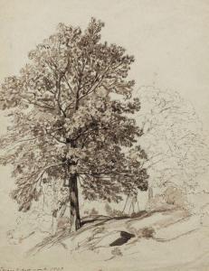 ANASTASI Auguste Paul Charles,Etude d'arbres dans les gorges d'Apremont,1843,EVE 2018-06-26