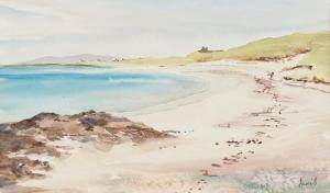 ANDERSON ANNIS,THE PRINCE'S STRAND, ERISKAY,McTear's GB 2014-02-02