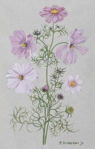 ANDERSON Cicely 1900-1900,COSMOS,Ross's Auctioneers and values IE 2017-08-09