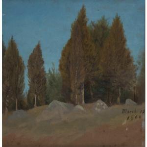 ANDERSON Frank 1844-1891,Pine Tree Grove,1864,William Doyle US 2010-11-10