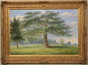 ANDERSON J.W 1900-1900,Bucolic Landscape,19th century,Nye & Company US 2020-10-14