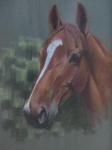 ANDERSON Margaret 1926-1998,Study of a Chestnut Horse,1976,Brightwells GB 2016-01-20