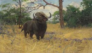 ANDORFF Friedrich August 1818-1875,Kuhnert  A Kaffir buffalo in the Savannah,Christie's 2016-12-13
