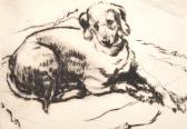 ANDRADE Athene 1908-1975,A Dog Lying on a Rug,John Nicholson GB 2018-12-19