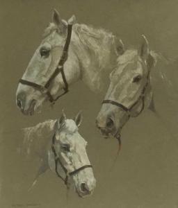 Andrew Haslen 1953,horse studies,Reeman Dansie GB 2021-11-21