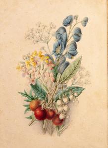 ANDREWS James 1801-1876,Floral studies,1853,Capes Dunn GB 2020-01-14