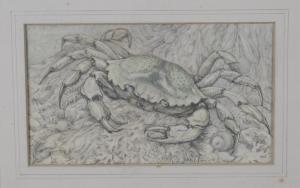 ANDREWS Lilian 1878,Shore Crab,1961,Tooveys Auction GB 2020-10-28