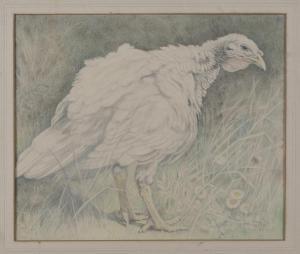 ANDREWS Lilian 1878,The Turkey Hen,Tooveys Auction GB 2020-10-28