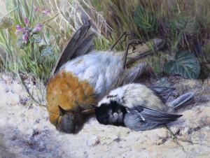 ANGELL COLEMAN Helen Cordelia,Still life of a dead birds and wildflower,Gorringes 2023-02-06