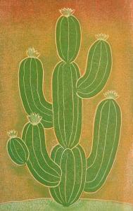 ANGELO Valenti 1897,Cactus,Rachel Davis US 2017-06-10
