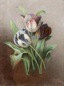 ANGELY 1800-1800,Tulpen,DAWO Auktionen DE 2012-02-14
