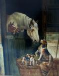 ANGLO AMERICAN SCHOOL,Horse with foal in a stable looking down ontoa dog,Maxwell GB 2007-04-25