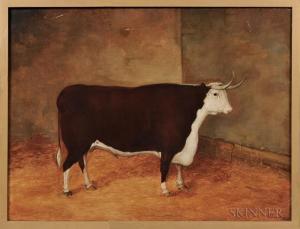ANGLO AMERICAN SCHOOL,Portrait of a Brown and White Bull in a Stall,Skinner US 2017-11-04