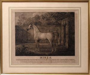 ANHALT Herzog 1794-1871,Abbildung des arabischen Hengstes Mirza,Bloss DE 2015-12-07