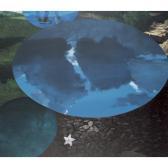 ANIWATCHON ATTASIT 1968,THE REFLECTION OF A RAIN CLOUD IN THE MICKY POOL,2006,Sotheby's 2008-04-08