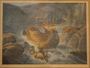 ANONYMOUS,'The Dying Stag',Andrew Smith and Son GB 2014-09-09