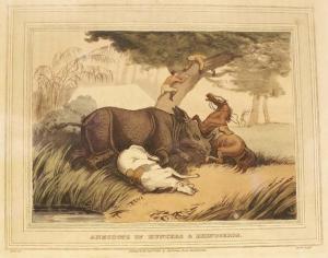 ANONYMOUS,3 Bll. African Rhinoceros, Anecdote of the Hunters,1813,Ketterer DE 2015-11-23