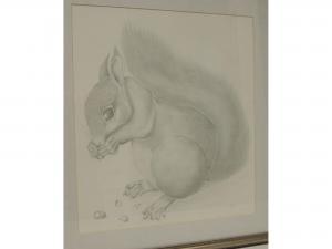 ANONYMOUS,A squirrel eating nuts,2004,Tamlyn & Son GB 2017-07-26