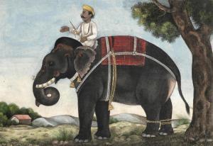 ANONYMOUS,An elephant ridden by a mahout Delhi,1830,Bonhams GB 2016-04-19