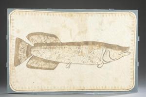 ANONYMOUS,Arapaima,20th century,Quinn & Farmer US 2018-10-17