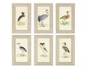 ANONYMOUS,Birds,1864,Bonhams GB 2015-10-13