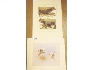 ANONYMOUS,Bull and cows,Smiths of Newent Auctioneers GB 2016-06-10