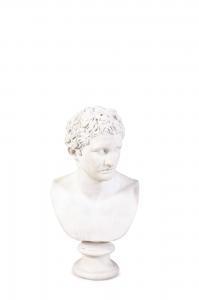 ANONYMOUS,BUST, OF A CLASSICAL YOUTH,19 TH CENTURY,Adams IE 2018-10-16