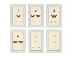 ANONYMOUS,Butterflies, moths and their transformations,1857,Bonhams GB 2015-10-13