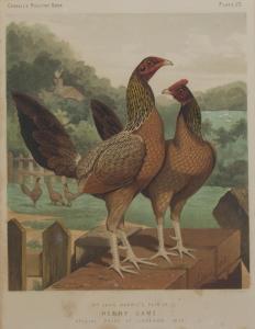 ANONYMOUS,Cassell````s Poultry Book,Hindman US 2013-02-10
