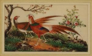 ANONYMOUS,Chinese pheasant amongst blossom,Morphets GB 2014-12-04