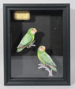 ANONYMOUS,Diorama figurant deux perroquets,Loizillon FR 2019-03-30