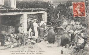 ANONYMOUS,Distillation de la lavande � Sospel. Mlle Jos�phin,Damien Leclere FR 2013-06-01
