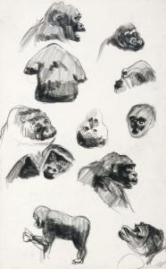 ANONYMOUS,Feuille d'études de têtes de gorilles,Artcurial | Briest - Poulain - F. Tajan 2012-10-17