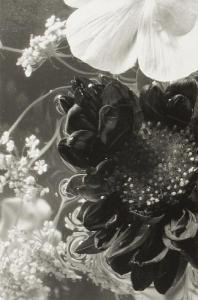 ANONYMOUS,Floral Scene,1998,Bonhams GB 2011-09-25