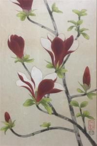 ANONYMOUS,Flowering Magnolia Blooms,Theodore Bruce AU 2018-04-15