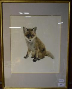 ANONYMOUS,fox cub,Charterhouse GB 2017-04-20