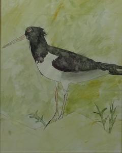 ANONYMOUS,Gull Bird Portrait,David Duggleby Limited GB 2016-12-10
