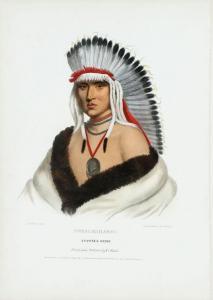 ANONYMOUS,INDIAN,1840,Jackson's US 2017-12-06