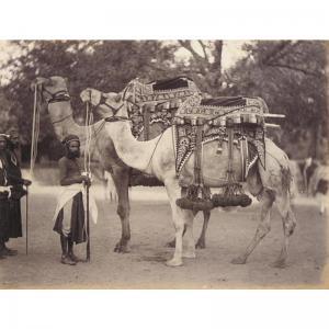 ANONYMOUS,JAIPUR. FOUR STUDIES, LATE 1880S-1890S,Sotheby's GB 2005-05-25