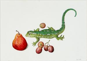 ANONYMOUS,Lizard and Fruit,Leonard Joel AU 2017-09-07